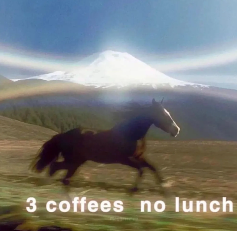 3 coffees no lunch Sengeremaj
