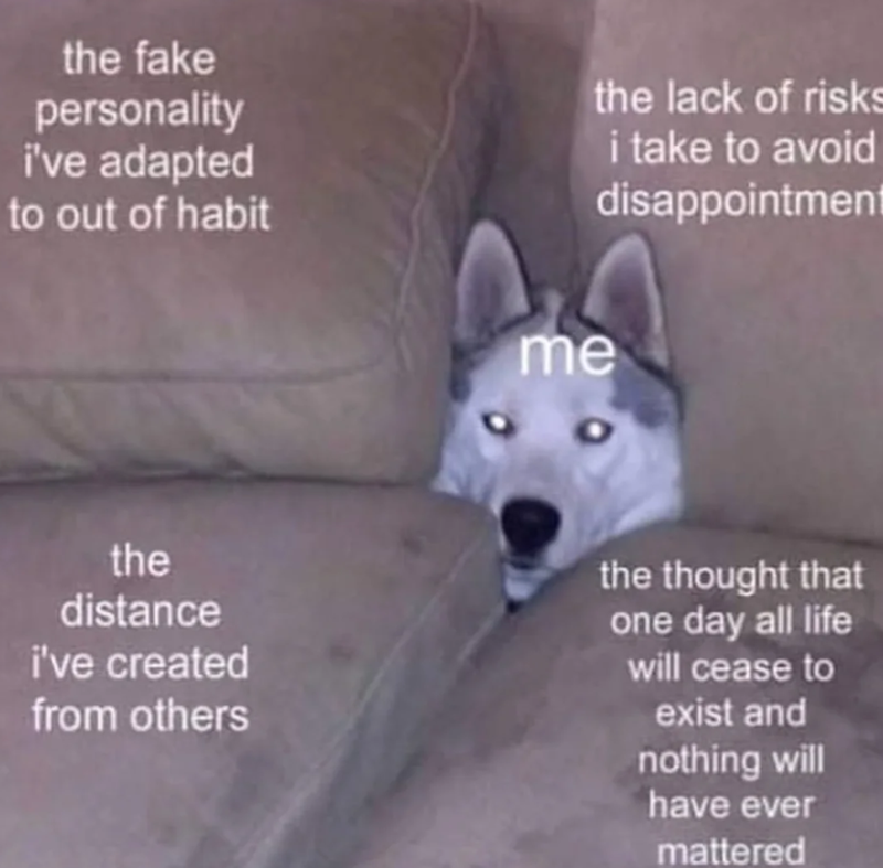 the fake personality i've adapted to out of habit the lack of risks i take to avoid disappointment me the distance i've created from others the thought that one day all life will cease to exist and nothing will have ever mattered