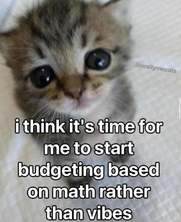 literallymecats i think it's time for me to start budgeting based on math rather than vibes