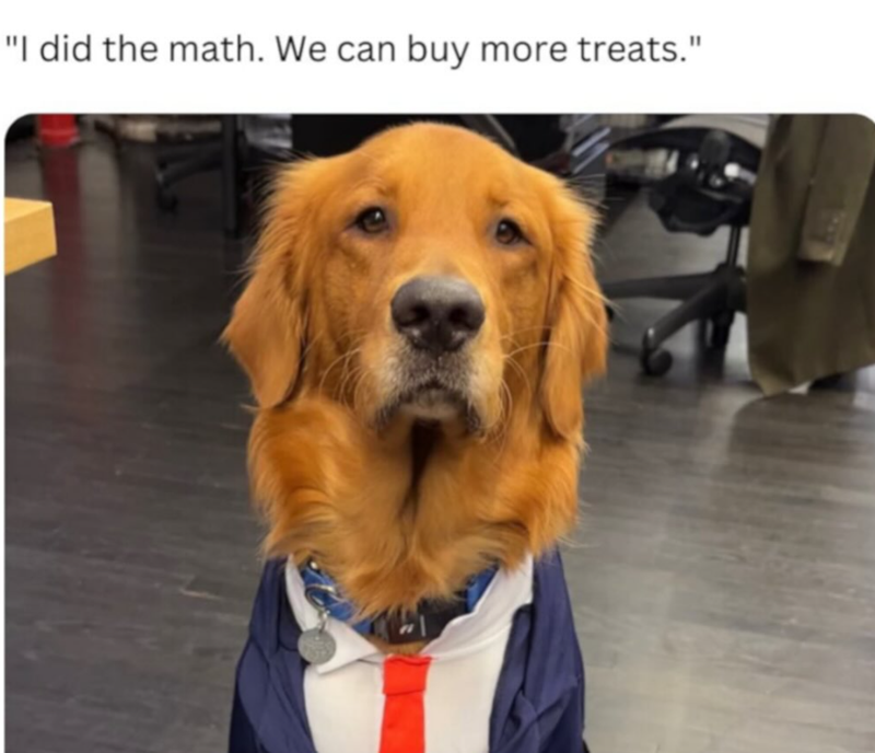 "I did the math. We can buy more treats."