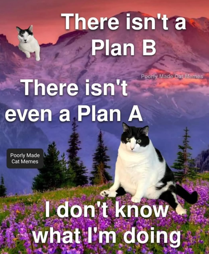 There isn't a Plan B There isn't even a Plan A Poorly Made Cat Memes Poorly Made Cat Memes +++ I don't know what I'm doing