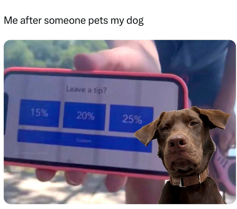 Me after someone pets my dog Leave a tip? 15% 20% 25% @tankthebrownlab Custom