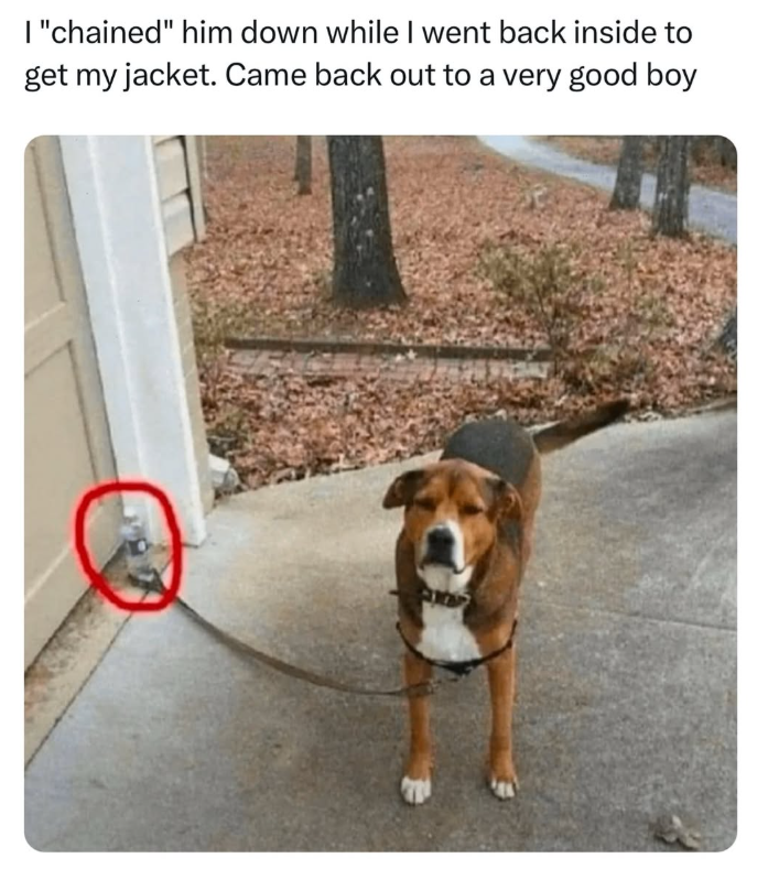 I "chained" him down while I went back inside to get my jacket. Came back out to a very good boy