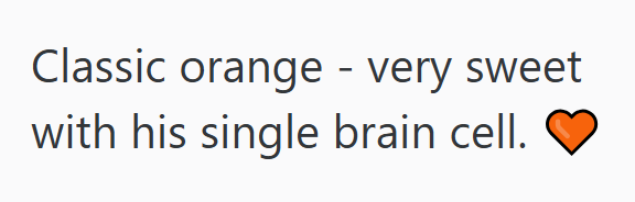 Classic orange - very sweet with his single brain cell.