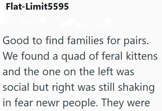 Flat-Limit5595 Good to find families for pairs. We found a quad of feral kittens and the one on the left was social but right was still shaking in fear newr people. They were