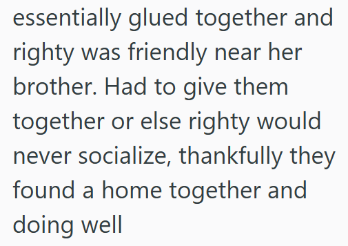 essentially glued together and righty was friendly near her brother. Had to give them together or else righty would never socialize, thankfully they found a home together and doing well