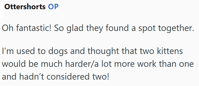 Ottershorts OP Oh fantastic! So glad they found a spot together. I'm used to dogs and thought that two kittens would be much harder/a lot more work than one and hadn't considered two!