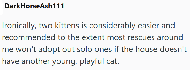 DarkHorseAsh111 Ironically, two kittens is considerably easier and recommended to the extent most rescues around me won't adopt out solo ones if the house doesn't have another young, playful cat.