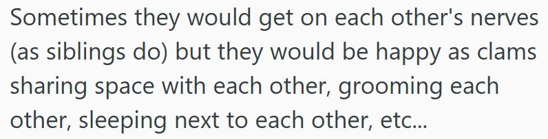 Sometimes they would get on each other's nerves (as siblings do) but they would be happy as clams sharing space with each other, grooming each other, sleeping next to each other, etc...