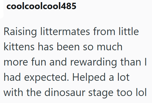coolcoolcool485 Raising littermates from little kittens has been so much more fun and rewarding than I had expected. Helped a lot with the dinosaur stage too lol