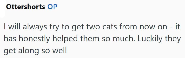 Ottershorts OP I will always try to get two cats from now on - it has honestly helped them so much. Luckily they get along so well