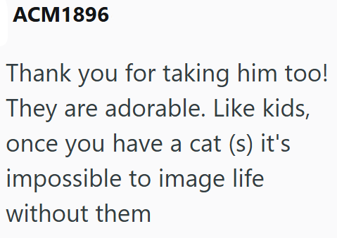 ACM1896 Thank you for taking him too! They are adorable. Like kids, once you have a cat (s) it's impossible to image life without them