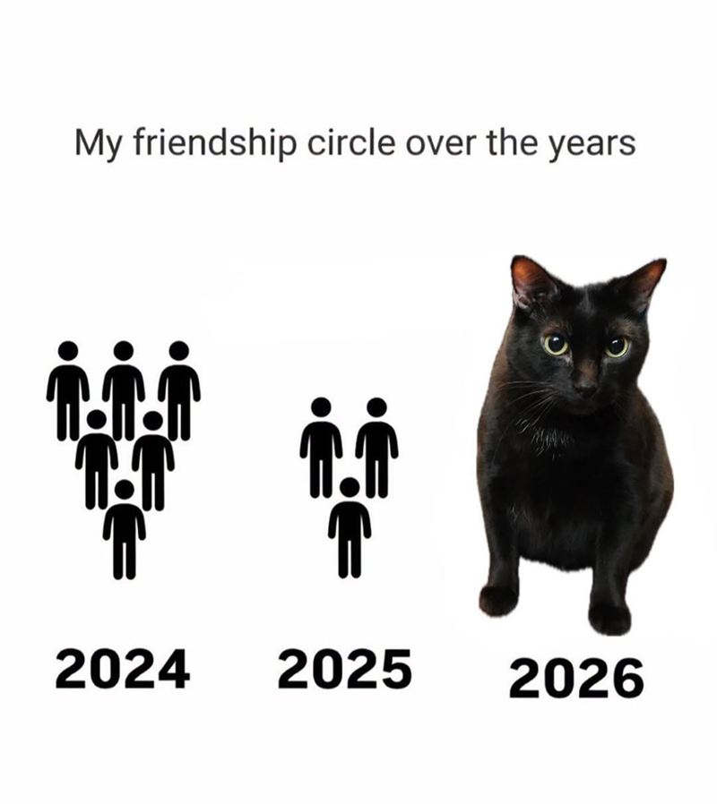 My friendship circle over the years 0 2024 2025 2026