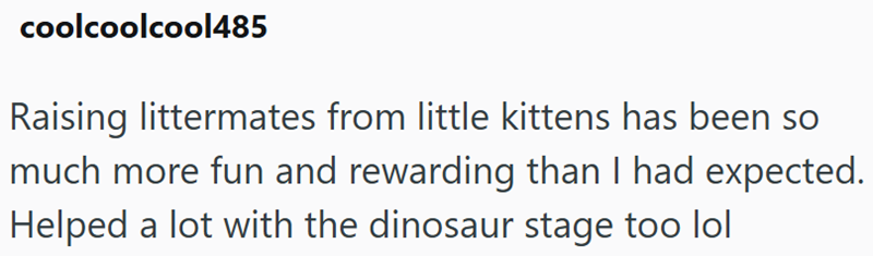 coolcoolcool485 Raising littermates from little kittens has been so much more fun and rewarding than I had expected. Helped a lot with the dinosaur stage too lol