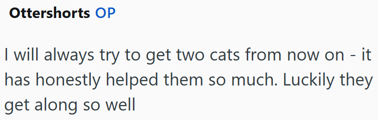 Ottershorts OP I will always try to get two cats from now on - it has honestly helped them so much. Luckily they get along so well