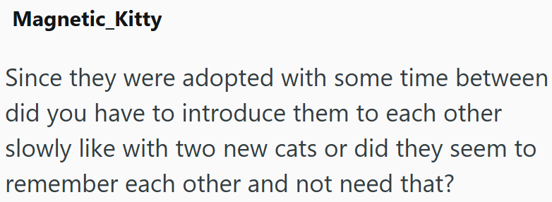 Magnetic_Kitty Since they were adopted with some time between did you have to introduce them to each other slowly like with two new cats or did they seem to remember each other and not need that?