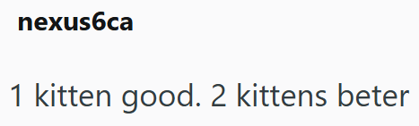 nexus6ca 1 kitten good. 2 kittens beter