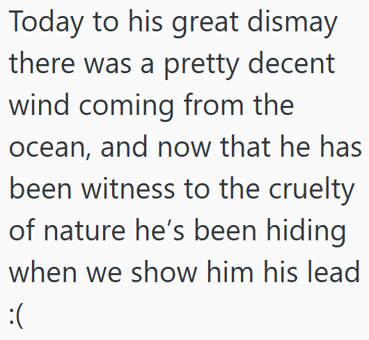 Today to his great dismay there was a pretty decent wind coming from the ocean, and now that he has been witness to the cruelty of nature he's been hiding when we show him his lead :(