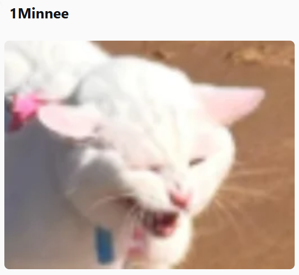 1 Minnee