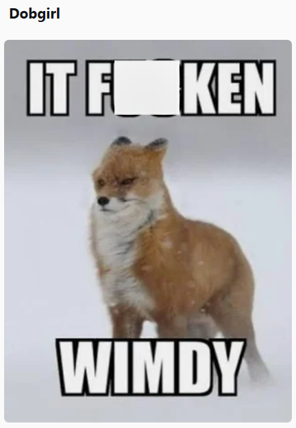 Dobgirl IT F KEN WIMDY