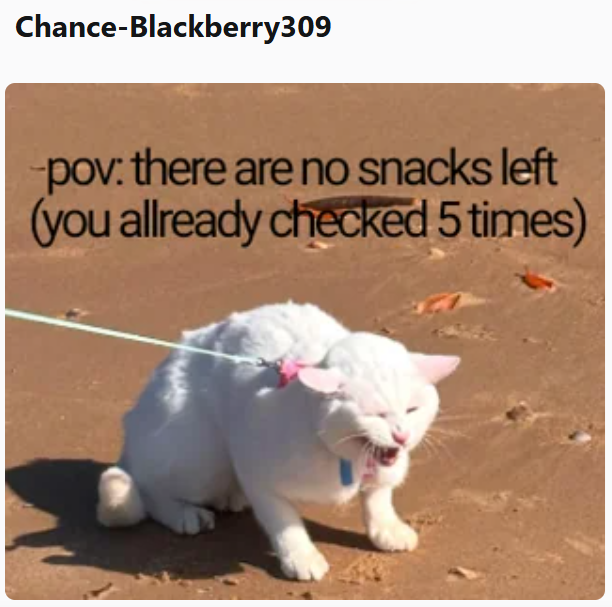 Chance-Blackberry309 pov: there are no snacks left (you allready checked 5 times)