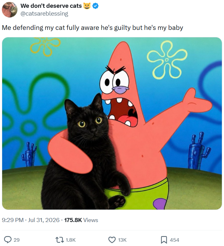 We don't deserve cats @catsareblessing Me defending my cat fully aware he's guilty but he's my baby 9:29 PM · Jul 31, 2026 175.8K Views 29 1.8K 13K 454