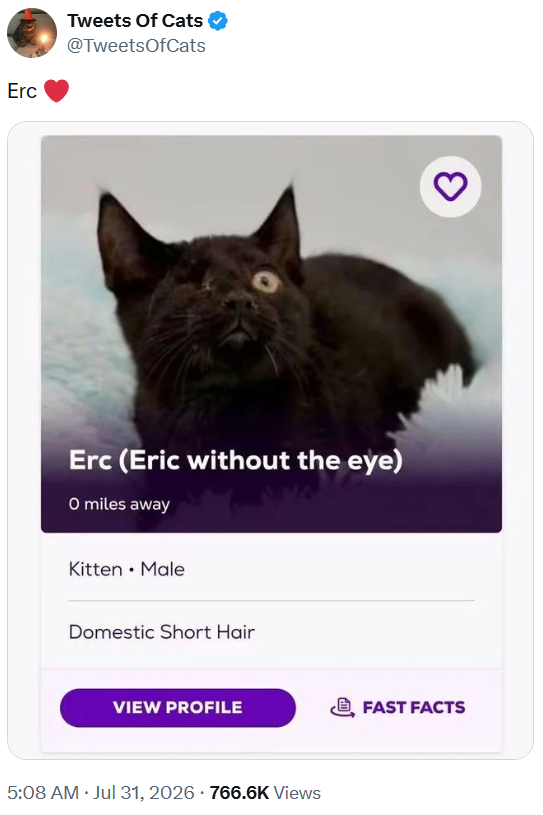 Erc Tweets Of Cats @TweetsOfCats Erc (Eric without the eye) O miles away Kitten • Male Domestic Short Hair VIEW PROFILE 5:08 AM ⚫ Jul 31, 2026 766.6K Views FAST FACTS 3