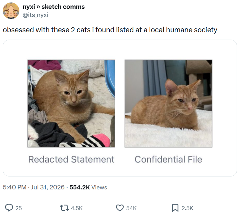 nyxi >> sketch comms @its_nyxi obsessed with these 2 cats i found listed at a local humane society Redacted Statement Confidential File 5:40 PM - Jul 31, 2026 554.2K Views 25 14.5K 54K ☐ 2.5K