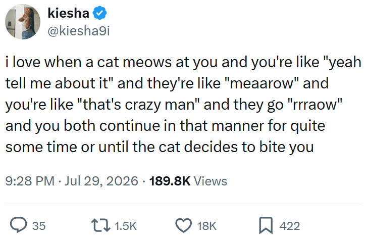 kiesha @kiesha9i i love when a cat meows at you and you're like "yeah tell me about it" and they're like "meaarow" and you're like "that's crazy man" and they go "rrraow" and you both continue in that manner for quite some time or until the cat decides to bite you 9:28 PM. Jul 29, 2026 189.8K Views 35 11.5K 18K ☐ 422