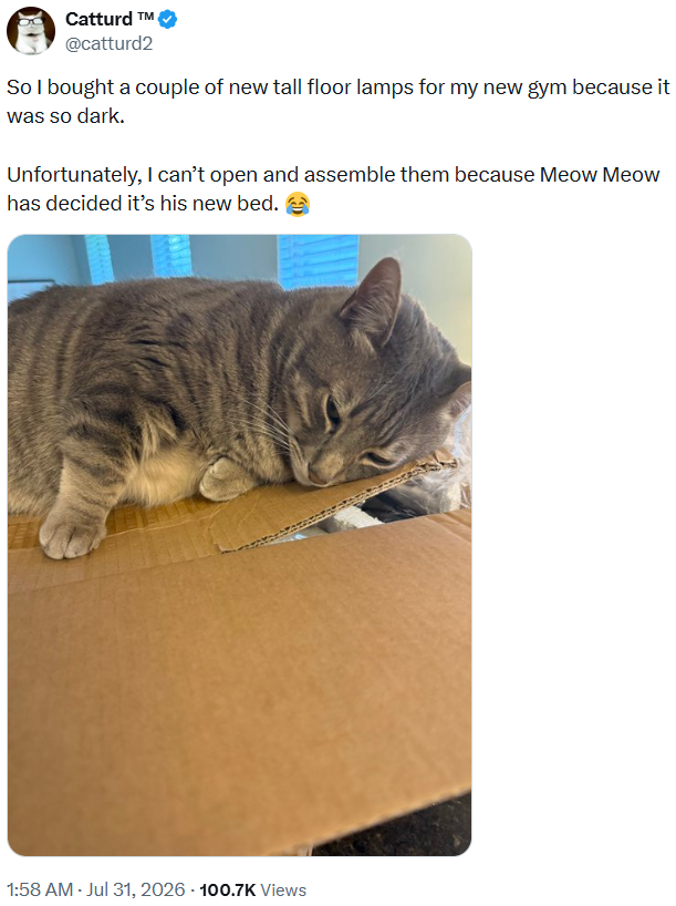 Catturd T @catturd2 So I bought a couple of new tall floor lamps for my new gym because it was so dark. Unfortunately, I can't open and assemble them because Meow Meow has decided it's his new bed. 1:58 AM - Jul 31, 2026 100.7K Views