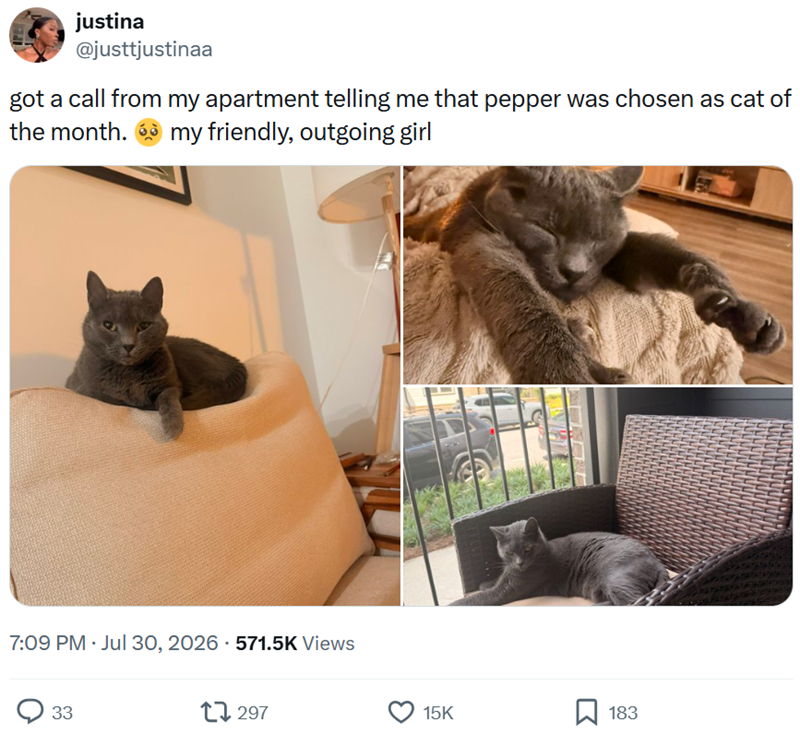 justina @justtjustinaa got a call from my apartment telling me that pepper was chosen as cat of the month. my friendly, outgoing girl • 7:09 PM - Jul 30, 2026 571.5K Views 33 297 15K ☐ 183