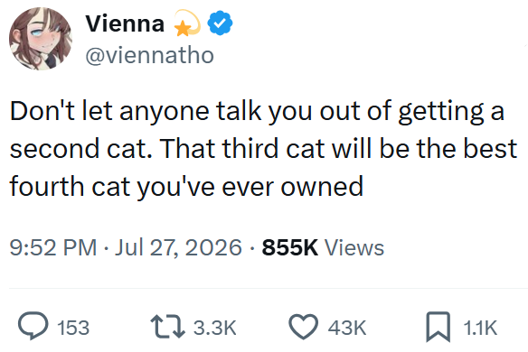 Vienna @viennatho Don't let anyone talk you out of getting a second cat. That third cat will be the best fourth cat you've ever owned 9:52 PM ⚫ Jul 27, 2026 855K Views 153 13.3K 43K ☐ 1.1K