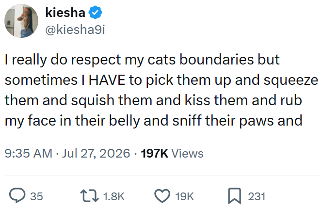 kiesha @kiesha9i I really do respect my cats boundaries but sometimes I HAVE to pick them up and squeeze them and squish them and kiss them and rub my face in their belly and sniff their paws and 9:35 AM ⚫ Jul 27, 2026 197K Views > 35 1.8K 19K 231