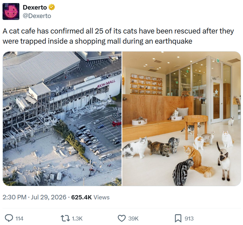 Dexerto @Dexerto A cat cafe has confirmed all 25 of its cats have been rescued after they were trapped inside a shopping mall during an earthquake EON MALL 2:30 PM - Jul 29, 2026 625.4K Views 114 1.3K 39K 913 OM: