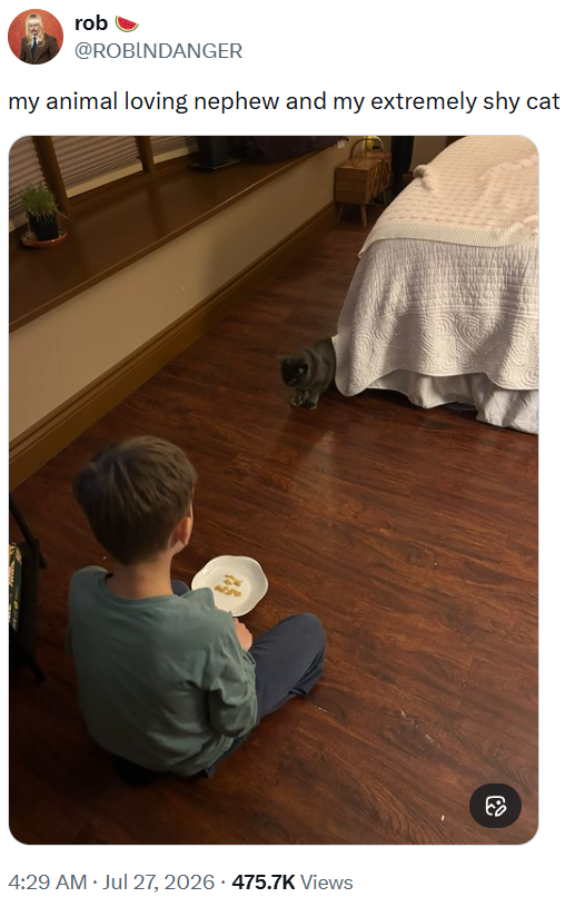 rob @ROBINDANGER my animal loving nephew and my extremely shy cat . . 4:29 AM Jul 27, 2026 475.7K Views 8