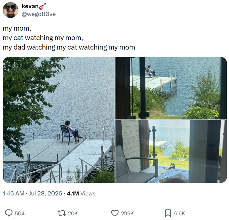kevan @wegotlove my mom, my cat watching my mom, my dad watching my cat watching my mom 1:46 AM · Jul 28, 2026 4.1M Views 504 120K 299K 6.6K
