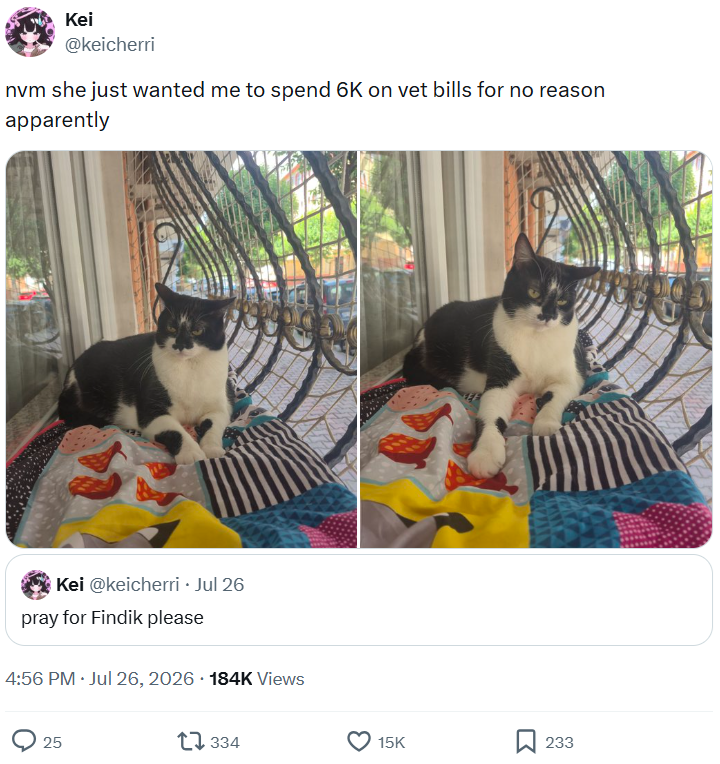 Kei @keicherri nvm she just wanted me to spend 6K on vet bills for no reason apparently Kei @keicherri⚫ Jul 26 pray for Findik please 4:56 PM ⚫ Jul 26, 2026 184K Views 25 17334 15K 233