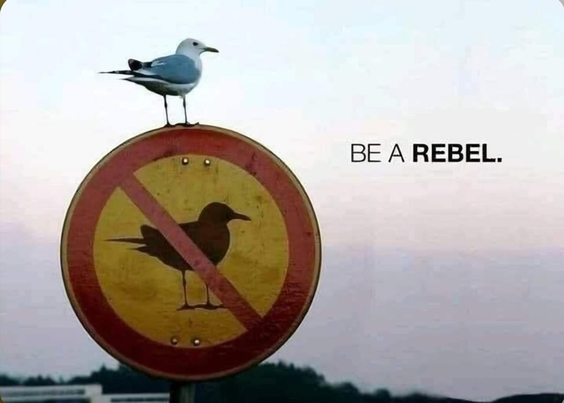 BE A REBEL.