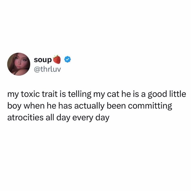 soup @thrluv my toxic trait is telling my cat he is a good little boy when he has actually been committing atrocities all day every day