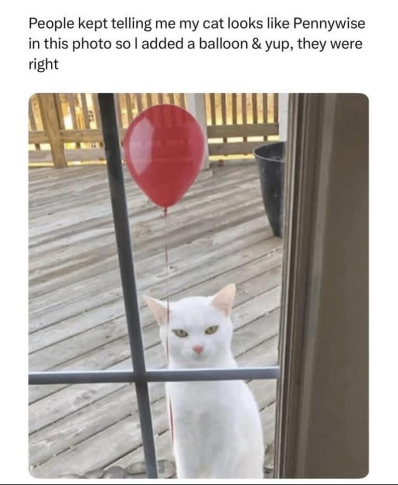 People kept telling me my cat looks like Pennywise in this photo so I added a balloon & yup, they were right