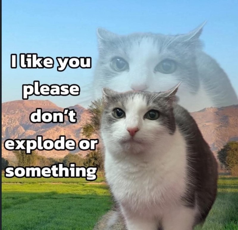 I like you please don't explode or something
