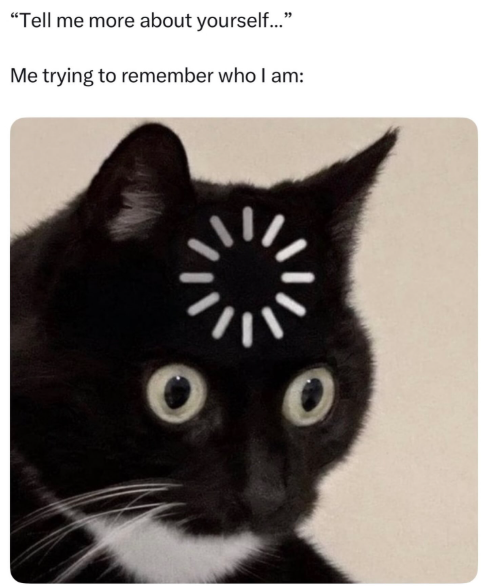 "Tell me more about yourself..." Me trying to remember who I am: O O