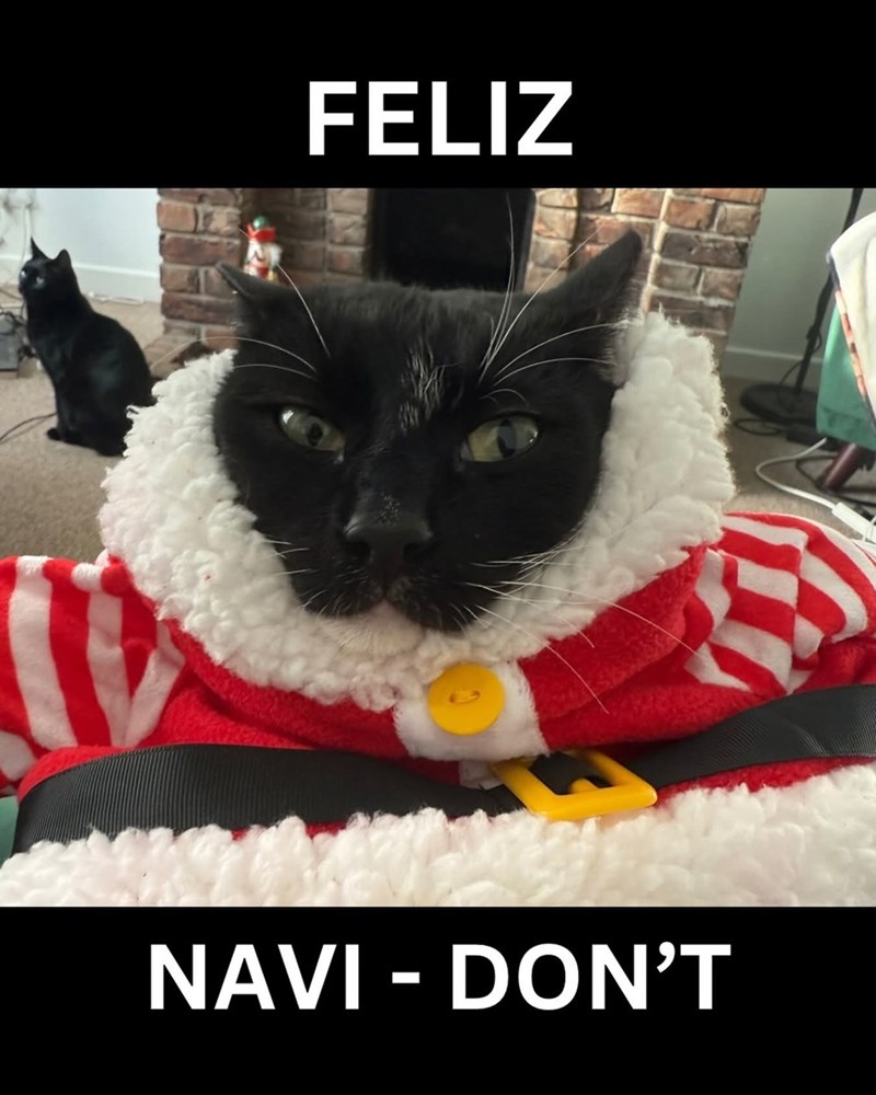 FELIZ NAVI - DON'T