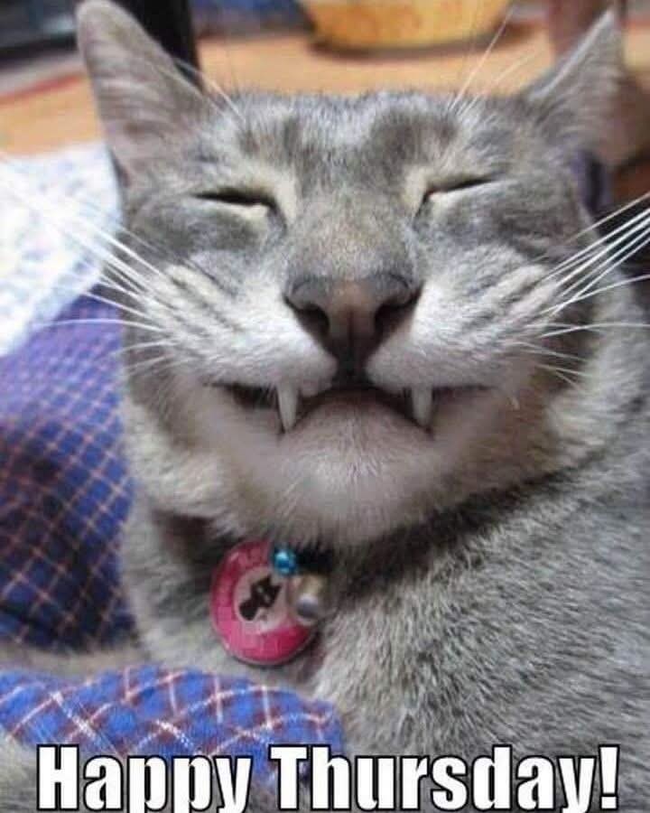 Happy Thursday!