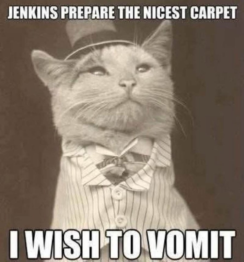 JENKINS PREPARE THE NICEST CARPET I WISH TO VOMIT