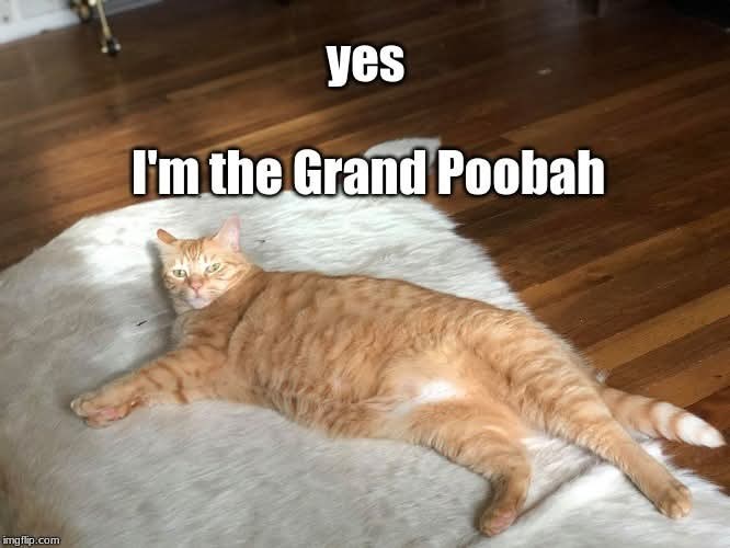 imgflip.com yes I'm the Grand Poobah