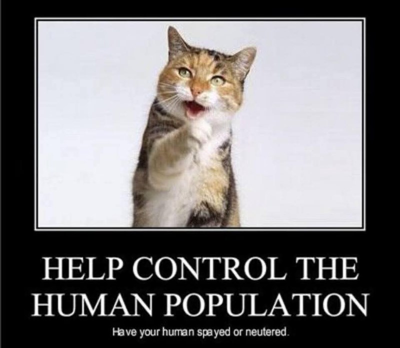 HELP CONTROL THE HUMAN POPULATION Have your human spayed or neutered.