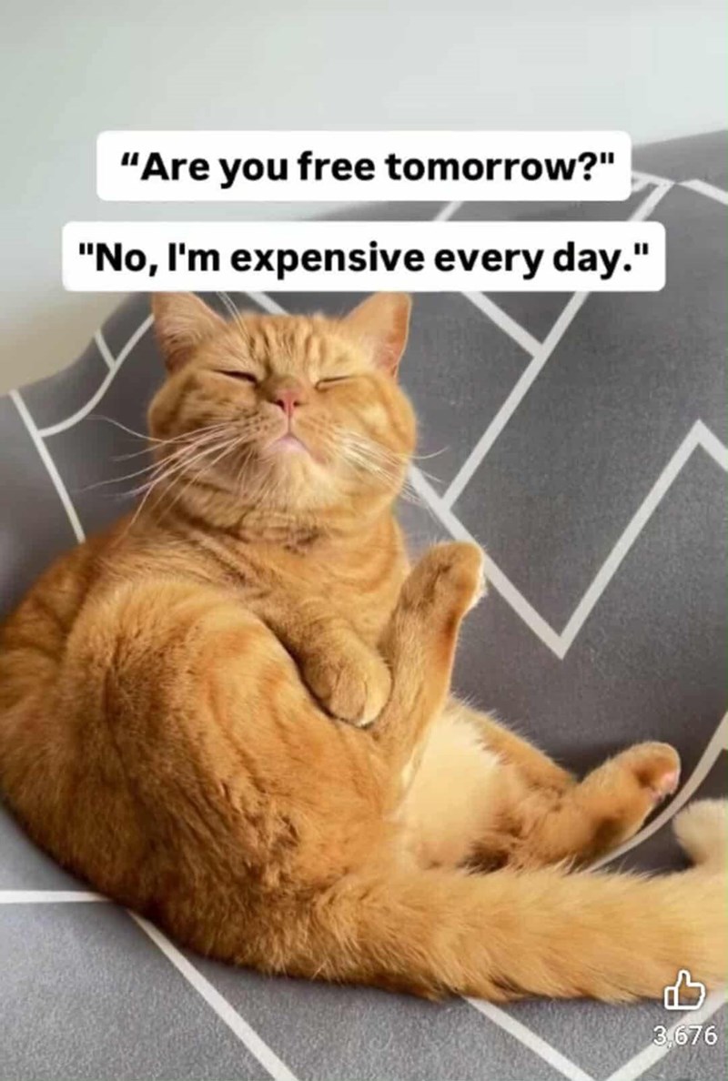 "Are you free tomorrow?" "No, I'm expensive every day." 3 3,676
