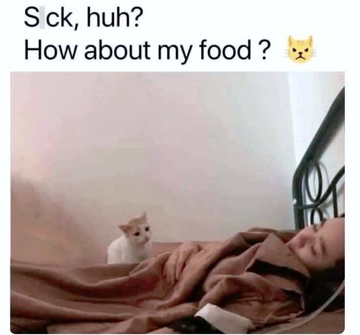 Sck, huh? How about my food?