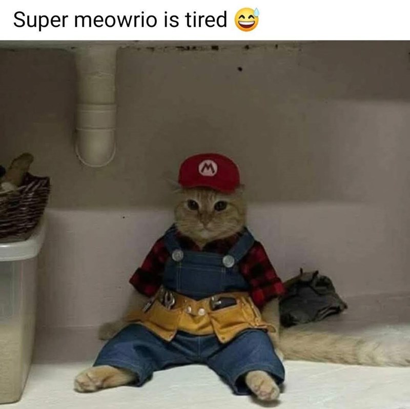 Super meowrio is tired M
